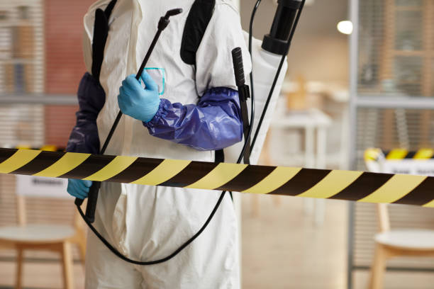 Professional Hoarding Cleanup technician working in Center Moriches, NY